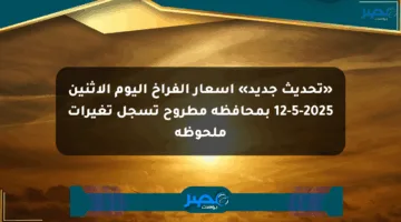 «تحديث جديد» أسعار الفراخ اليوم الإثنين 12-5-2025 بمحافظة مطروح تسجل تغيرات ملحوظة